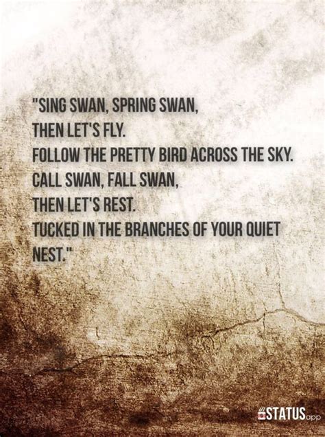 lost city of z quotes|Best The Lost City Quotes (2022) .